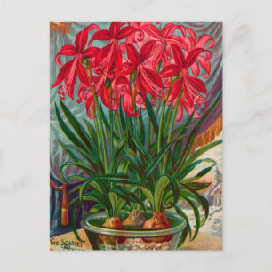  Briefkaart voor zaaigoed