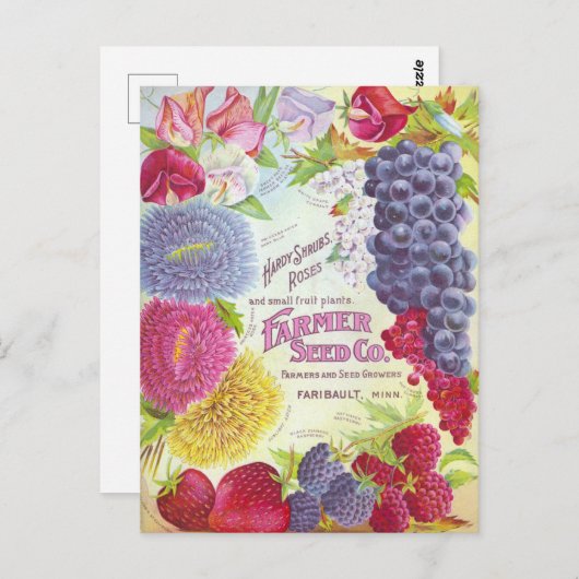  Briefkaart voor zaaigoed (Voorkant / Achterkant)