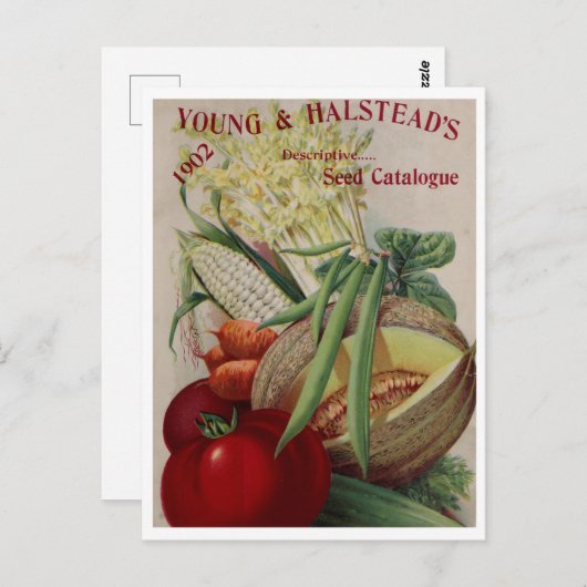 Briefkaart voor zaaigoed (Voorkant / Achterkant)