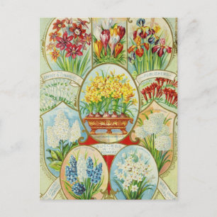  Briefkaart voor zaaigoed