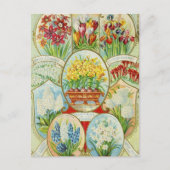  Briefkaart voor zaaigoed (Voorkant)