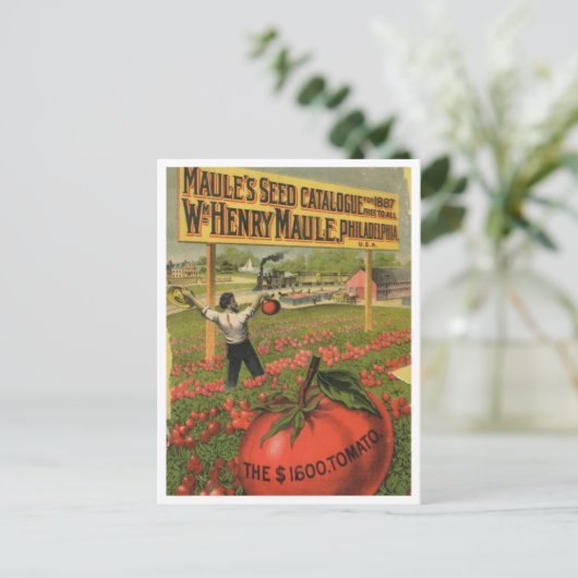 Briefkaart voor zaaigoed (Staand voorkant)