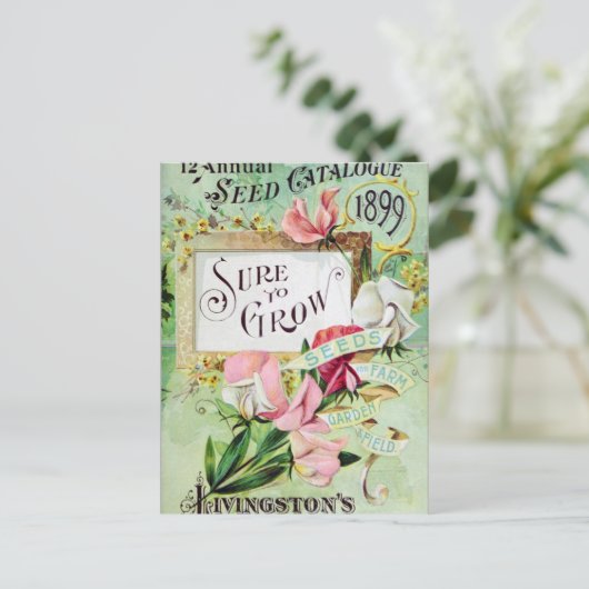  Briefkaart voor zaaigoed (Staand voorkant)