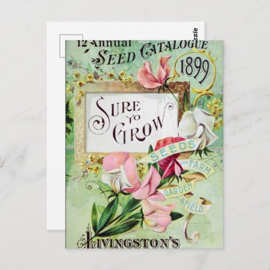 Briefkaart voor zaaigoed (Voorkant / Achterkant)