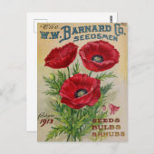  Briefkaart voor zaaigoed (Voorkant / Achterkant)