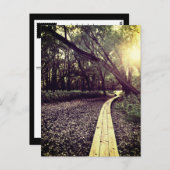 briefkaart voor zandpuntsporen (Voorkant / Achterkant)