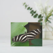 Briefkaart voor  Zebra-langwerpvlinder (Staand voorkant)