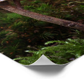 Briefkaart voor zelfaflezing in de Acorn - poster (Hoek)