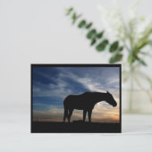 Briefkaart voor zonnepaarden (Staand voorkant)