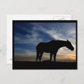 Briefkaart voor zonnepaarden (Voorkant / Achterkant)