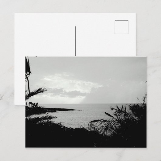 Briefkaart voor zwarte en witte oceaanscène (Voorkant / Achterkant)