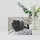 Briefkaart voor zwarte kat (Staand voorkant)