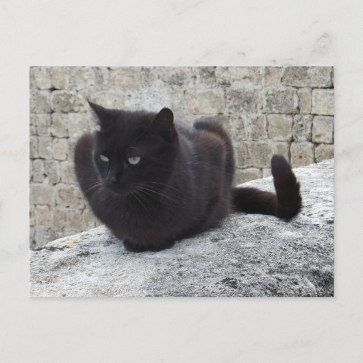 Briefkaart voor zwarte kat (Voorkant)