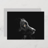 briefkaart voor zwarte labrador (Voorkant / Achterkant)