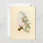 Briefkaart voor zweetvogels en bloemen (Voorkant / Achterkant)