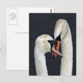 Briefkaart voor zwenkpaar (Voorkant / Achterkant)