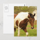 Briefkaart voor zwervende verf (Voorkant / Achterkant)