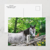 briefkaart "Vriendinnen" (Voorkant / Achterkant)