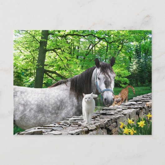 briefkaart "Vriendinnen" (Voorkant)