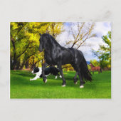 briefkaart "Vroege lente" (Voorkant)