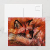 Briefkaart Vuilvos (Voorkant / Achterkant)