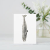 briefkaart "WALEN" (Staand voorkant)