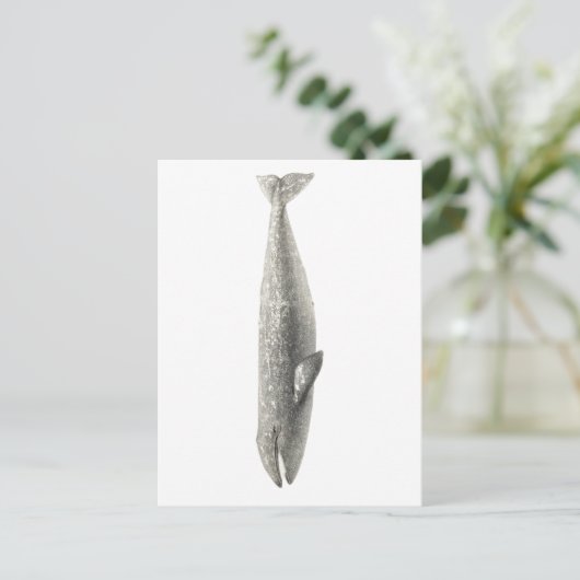 briefkaart "WALEN" (Staand voorkant)