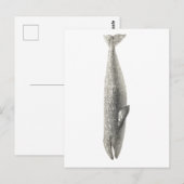 briefkaart "WALEN" (Voorkant / Achterkant)