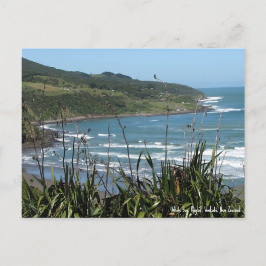 Briefkaart, walvisbaai, Raglan, Nieuw-Zeeland Briefkaart (Voorkant)