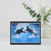 Briefkaart walvisfoto (Staand voorkant)