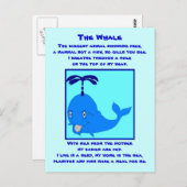 Briefkaart walvisgedicht (Voorkant / Achterkant)