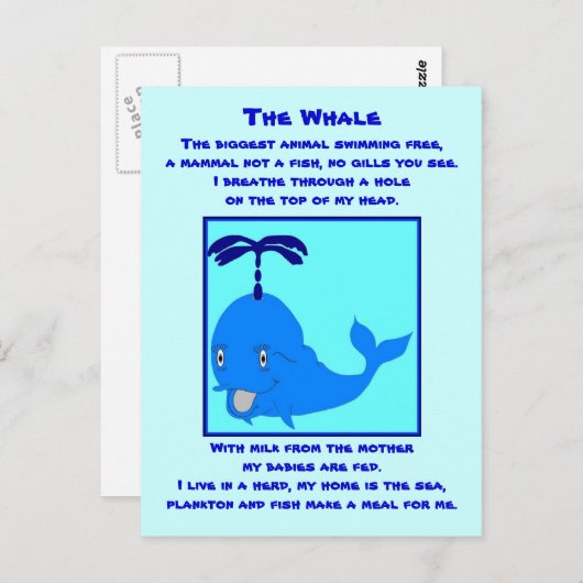 Briefkaart walvisgedicht (Voorkant / Achterkant)