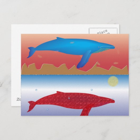Briefkaart walvissen (Voorkant / Achterkant)
