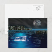 Briefkaart walvisvis (Voorkant / Achterkant)