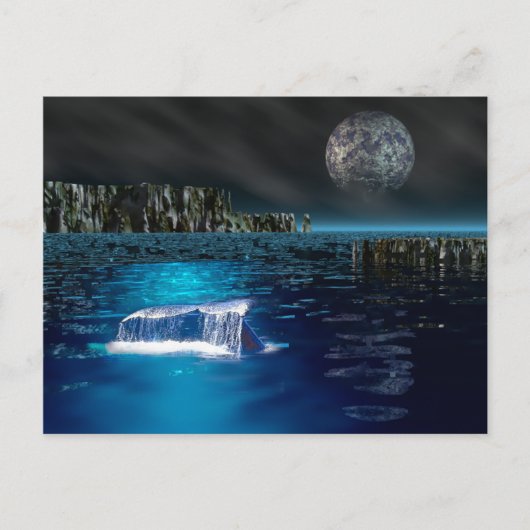 Briefkaart walvisvis (Voorkant)