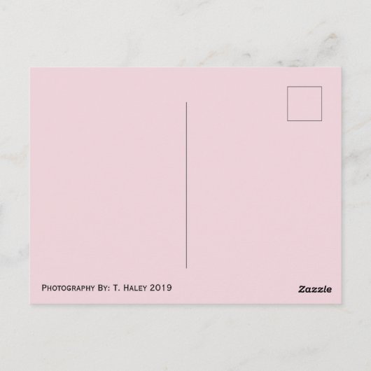 Briefkaart Washington (Achterkant)