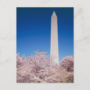  Briefkaart Washington DC