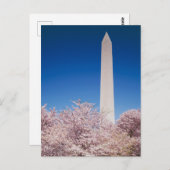  Briefkaart Washington DC (Voorkant / Achterkant)