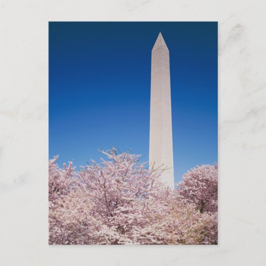  Briefkaart Washington DC (Voorkant)