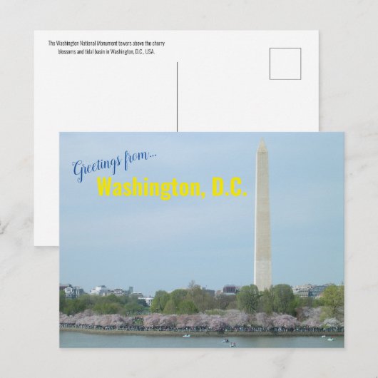 Briefkaart - Washington Monument en Cherry Blossom (Voorkant / Achterkant)