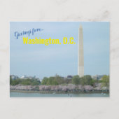 Briefkaart - Washington Monument en Cherry Blossom (Voorkant)