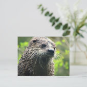 Briefkaart Washington State Otter (Staand voorkant)
