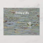 Briefkaart Waterlily Pond Lake Flower I (Voorkant)