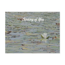 Briefkaart Waterlily Pond Lake Flower I
