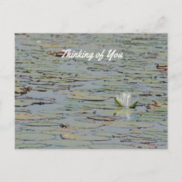 Briefkaart Waterlily Pond Lake Flower I