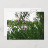 Briefkaart Watermead Country Park (Voorkant / Achterkant)