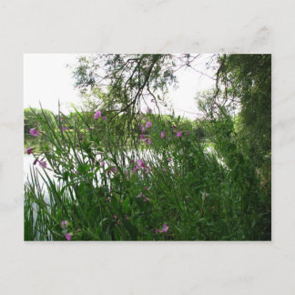 Briefkaart Watermead Country Park