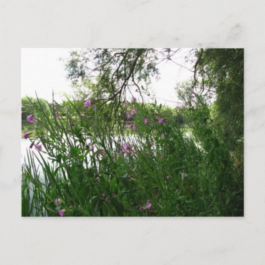 Briefkaart Watermead Country Park (Voorkant)