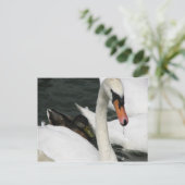 Briefkaart Watermead Country Park (Staand voorkant)