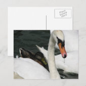 Briefkaart Watermead Country Park (Voorkant / Achterkant)